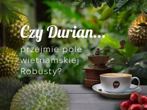 Dlaczego Durian Zabija Wietnamską Kawę Robusta?
