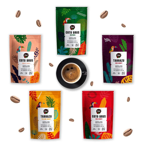 Jak powstaje kawa Speciality?