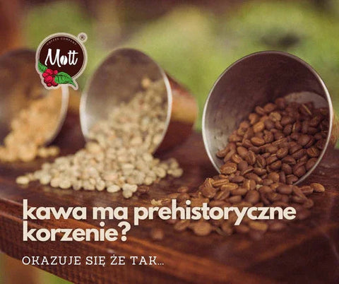 Kawa Arabica: Prehistoryczne Korzenie i Współczesne Wyzwania
