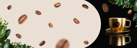 Kawy Speciality ziarniste - MottCoffee.com