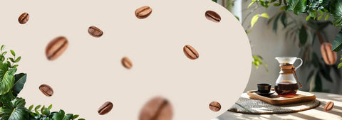 Akcesoria do kaw - MottCoffee.com