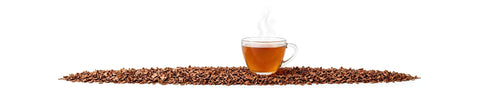cascara suszone owoce kawowca