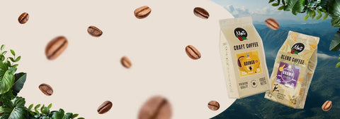 Nowości Mott Coffee - MottCoffee.com