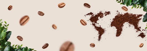 Kawy ziarniste - MottCoffee.com