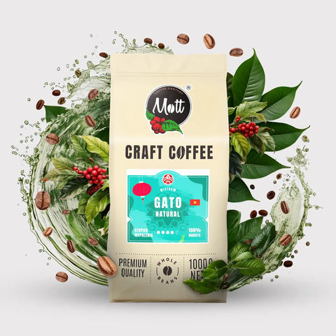 Kawa ziarnista Gato 1 kg -  Mott Coffee