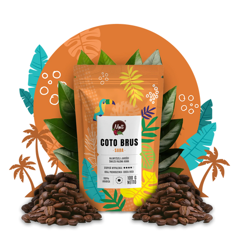 Kawa ziarnista Saba 100g - Mott Coffee