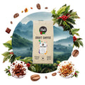 Coto Brus White Honey - Kawa ziarnista 1000g - MottCoffee.com