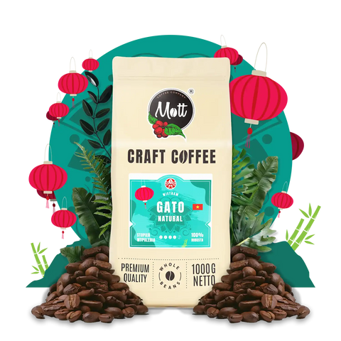 Kawa ziarnista Gato 1 kg -  Mott Coffee