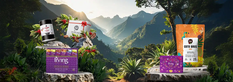 Zestaw prezentowy duży - Mott Coffee