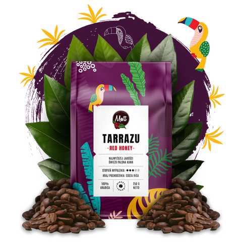 Tarrazu Red Honey - Coffee beans 250g