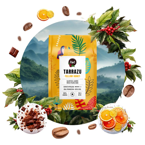 Tarrazu Yellow Honey - Kawa ziarnista 250g - MottCoffee.com