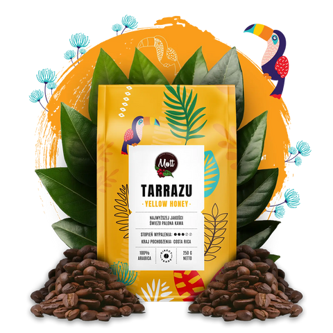 Tarrazu Yellow Honey - Kawa ziarnista 250g - MottCoffee.com