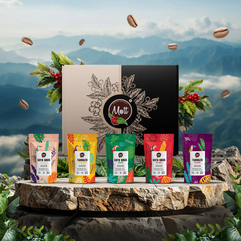 Zestaw kaw ziarnistych 5 x 100 g - Mott Coffee